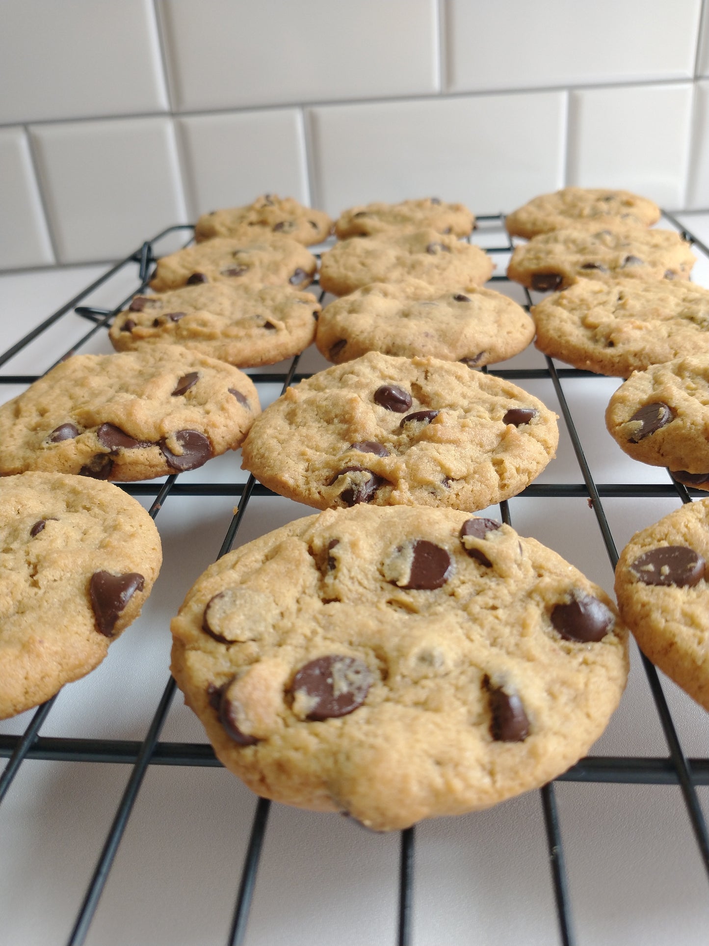 Chocolate Chip Cookies