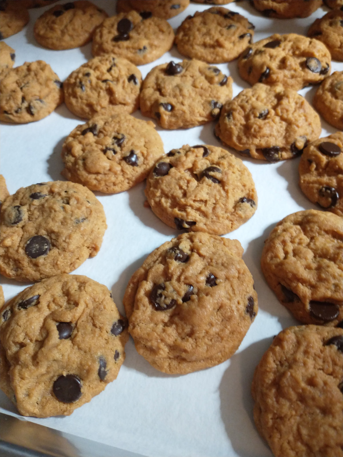 Pumpkin Spice Chocolate Chip Cookies