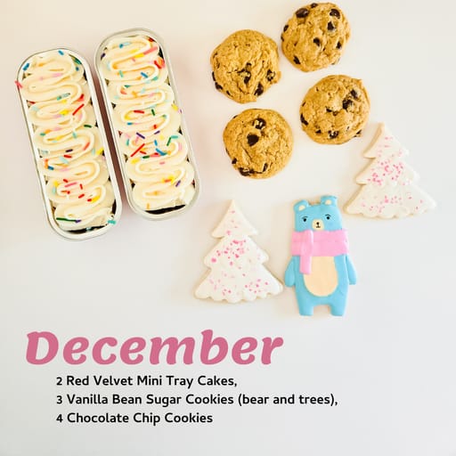 Variety Box Bundle! Treats for January-March 2026